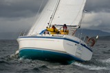 pippin lrw11 9774